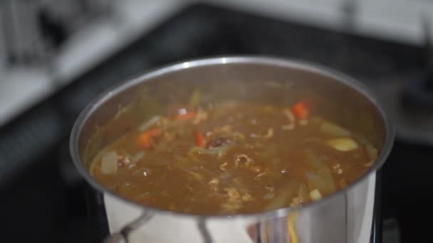 Come Cuocere Fuoco Lento Curry — Video Stock