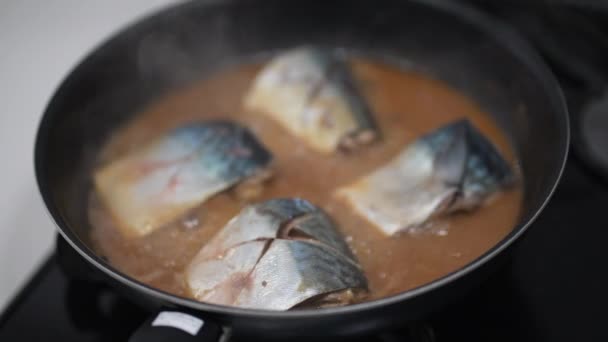 如何使鲭鱼在密苏里煮沸 — 图库视频影像