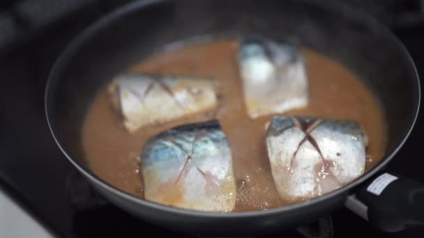 如何使鲭鱼在密苏里煮沸 — 图库视频影像