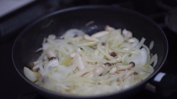 How Fry Onions Shimeji Mushrooms — Stock Video