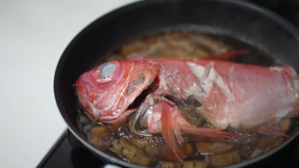 How Make Boiled Red Snapper — Stock Video