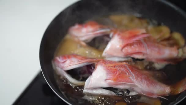 Cum Face Peștele Scorpion Simmered — Videoclip de stoc