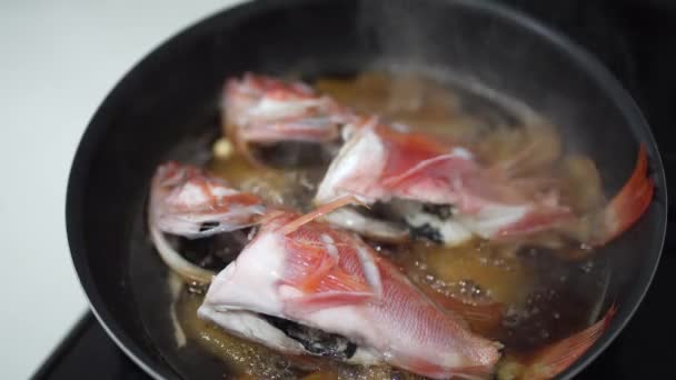 How Make Simmered Scorpion Fish — Stock Video