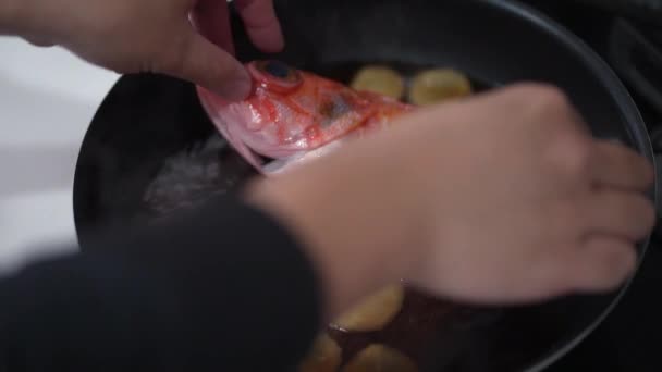 Сделать Сибаса Рыбы Скорпиона — стоковое видео