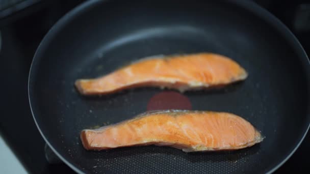 How Cook Salmon — Stock Video