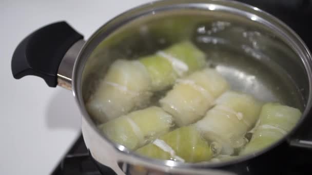 How Make Cabbage Rolls — Vídeos de Stock