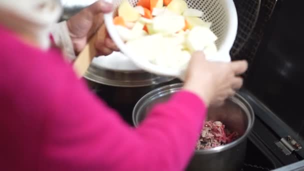 肉とジャガイモを作る女性 — ストック動画