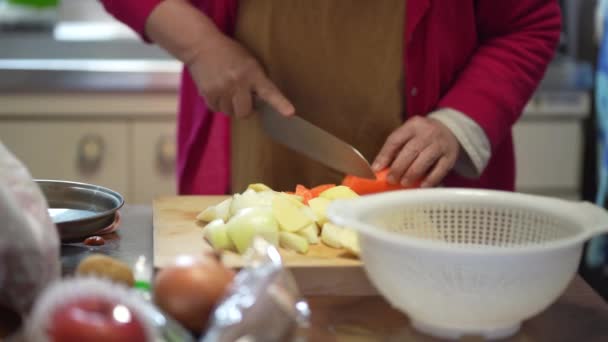 Жінки Які Ріжуть Овочі — стокове відео