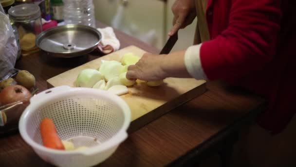 Жінки Які Ріжуть Овочі — стокове відео