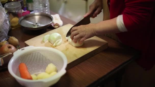 野菜を切った女性 — ストック動画