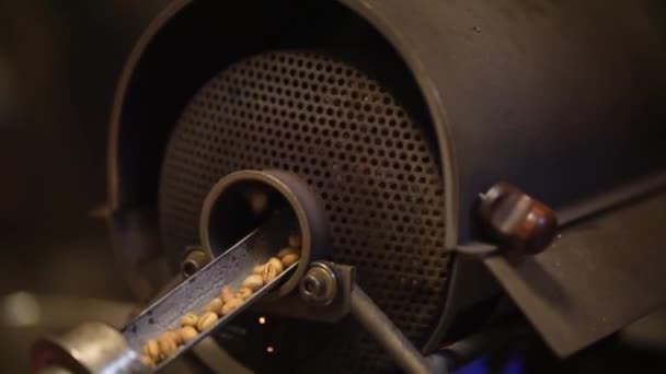 Kahve Çekirdekleri Nasıl Kızarır — Stok video