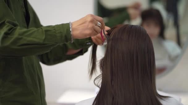 男性の美容師は女性の髪をアイロン — ストック動画