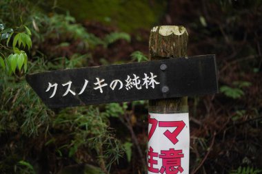 İşaret direği (kafur saf orman))