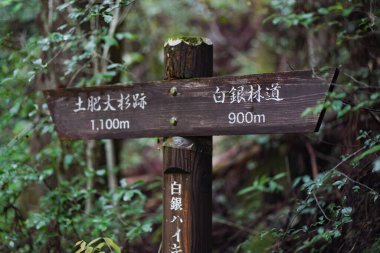 İşaret direği (Toi Osugi Harabeleri / Shirogane Ormanı Yolu)