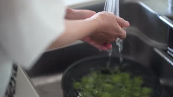 Image Woman Washing Plums — Stockvideo