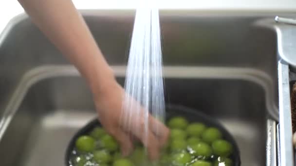 Image Woman Washing Plums — Video