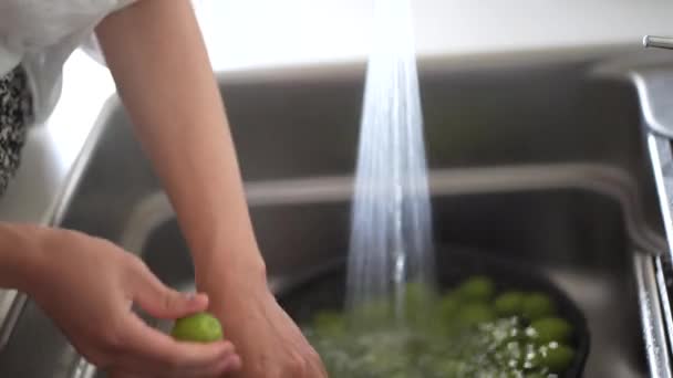 Image Woman Washing Plums — Stock Video