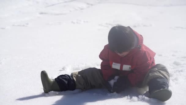 Ouder Kind Spelen Sneeuw — Stockvideo