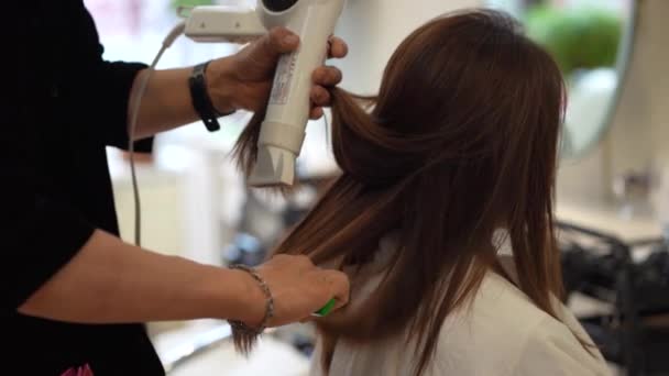 男式理发师把吹风机涂在妇女的头发上 — 图库视频影像