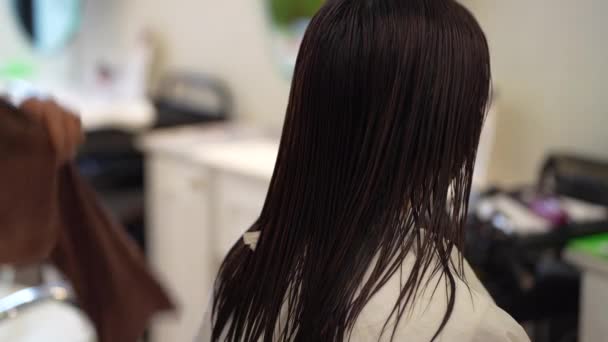 男理发师用毛巾擦拭女人的头发 — 图库视频影像