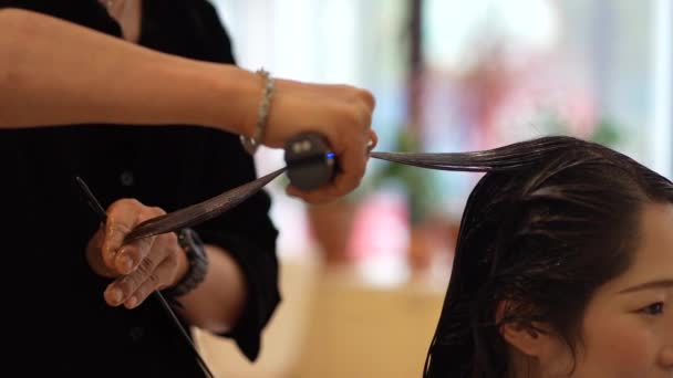 女性の髪にカーリングアイロンを塗布する男性の美容師 — ストック動画