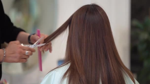 Mężczyzna Fryzjer Cięcia Włosy Kobiet — Wideo stockowe