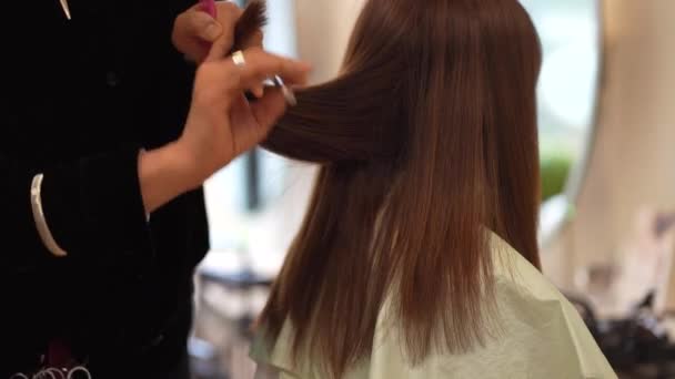 女性の髪を切る男性の美容師 — ストック動画