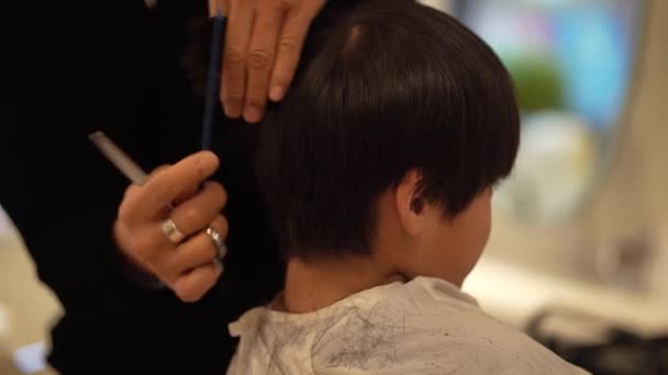 Mężczyzna Fryzjer Cięcia Chłopiec Włosy — Wideo stockowe