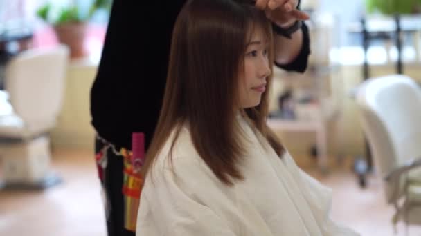 Male Hairdresser Cutting Women Hair — Stock Video