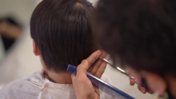 男性の美容師カッティングボーイの髪 — ストック動画