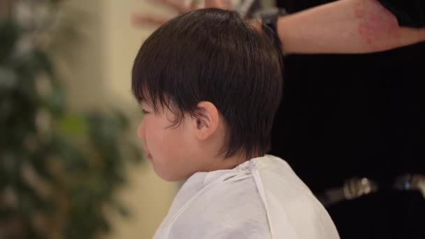 Αρσενικό Κομμωτήριο Στέγνωμα Μαλλιών Ενός Αγοριού Στεγνωτήρα Μαλλιών — Αρχείο Βίντεο