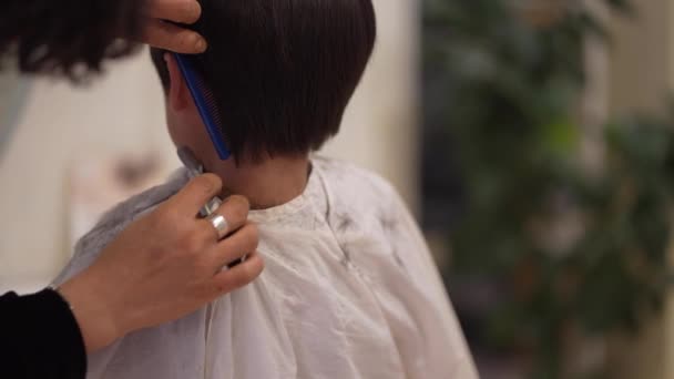 Male Hairdresser Cutting Boy Hair — Stock Video