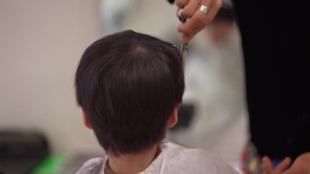 Mężczyzna Fryzjer Cięcia Chłopiec Włosy — Wideo stockowe