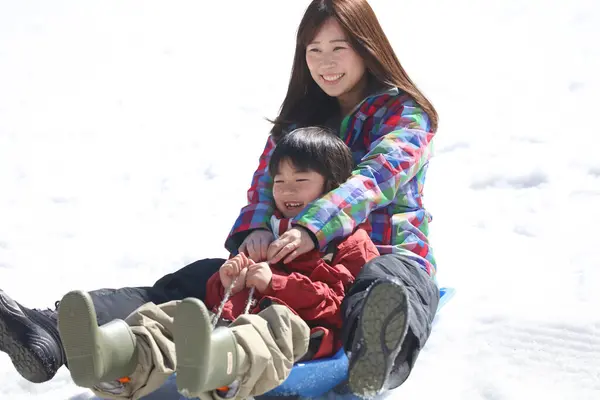 父母和孩子在雪橇上玩耍 — 图库照片