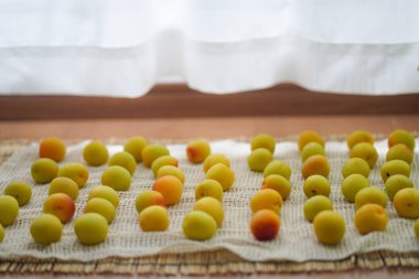 Nanko eriklerini içeride kurutuyorum.