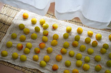 Nanko eriklerini içeride kurutuyorum.