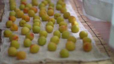 Nanko eriklerini içeride kurutuyorum.