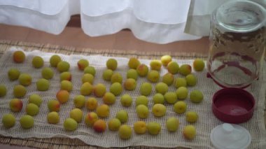 Nanko eriklerini ve cam şişeleri içeride kurutuyorum.