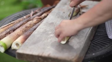 Madake bambu filizlerini kesen bir kadın.