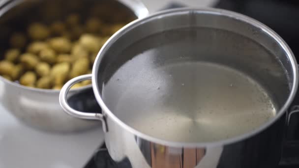 Jak Gotować Syrop Śliwkowy — Wideo stockowe
