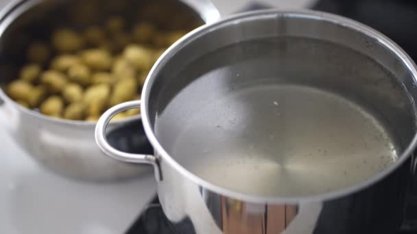 どのように梅シロップを沸騰させるか — ストック動画