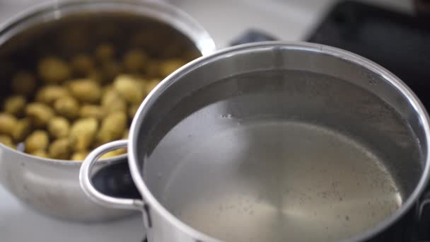 How Boil Plum Syrup — Stock Video
