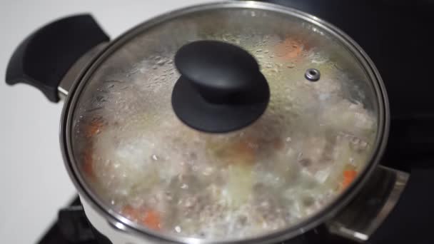 Come Cuocere Fuoco Lento Ingredienti Stufato — Video Stock