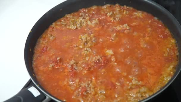 How Make Meat Sauce — Stock Video