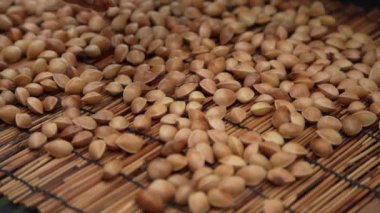 Ginkgo delisi bir kadın.