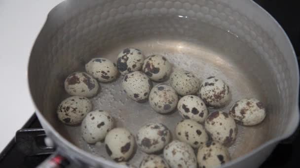 怎样煮鹌鹑蛋 — 图库视频影像