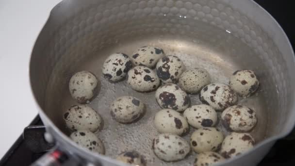 Πώς Βράσετε Αυγά Ορτυκιού — Αρχείο Βίντεο