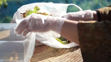 Ginkgo fındığı hazırlayan bir kadın