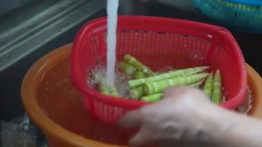 Bambu köklerini suyla yıkayan bir kadın.