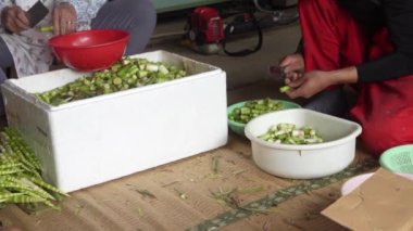 Bambu köklerini suyla yıkayan bir kadın.